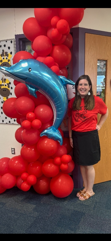 ms stout and kindergarten k start reveal 