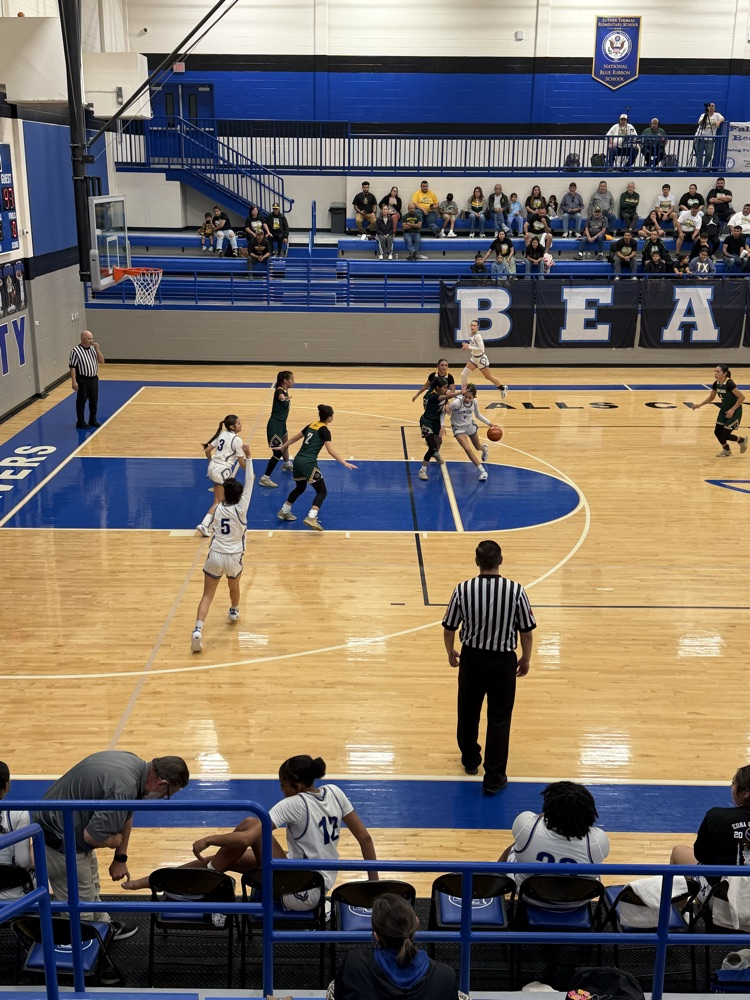 Edna Cowgirls basketball in the 2026 Area playoff game