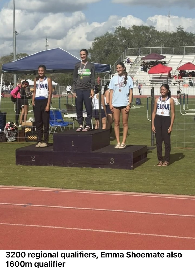 Girls Area track results 