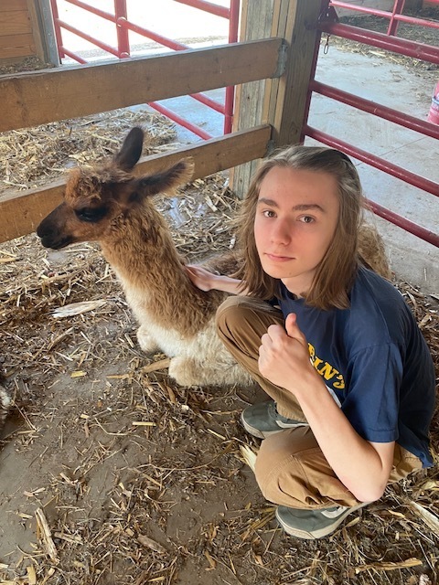 student squatting down petting a llama