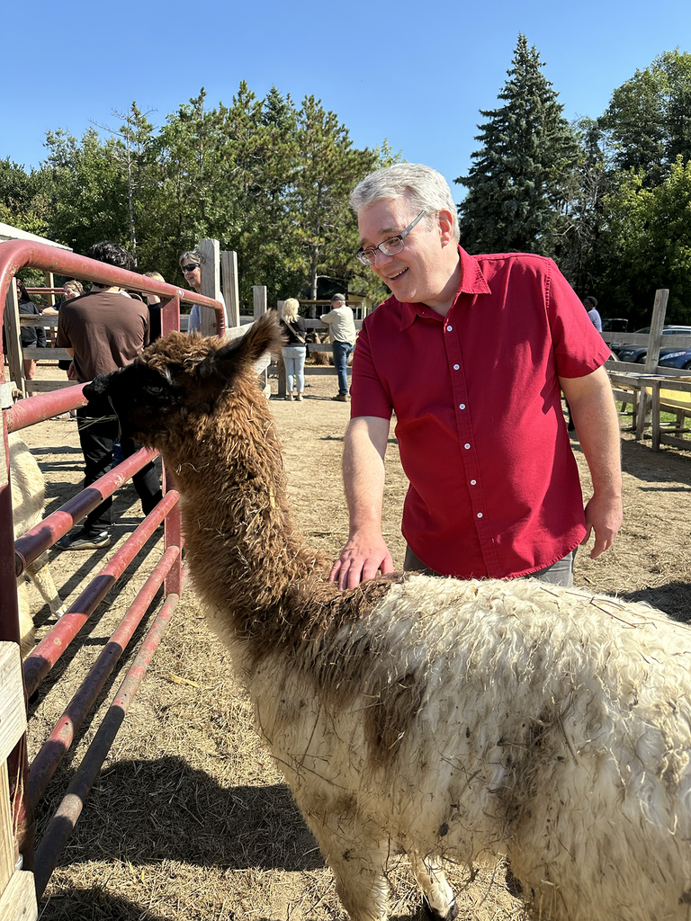 man in red shirt petting a llama