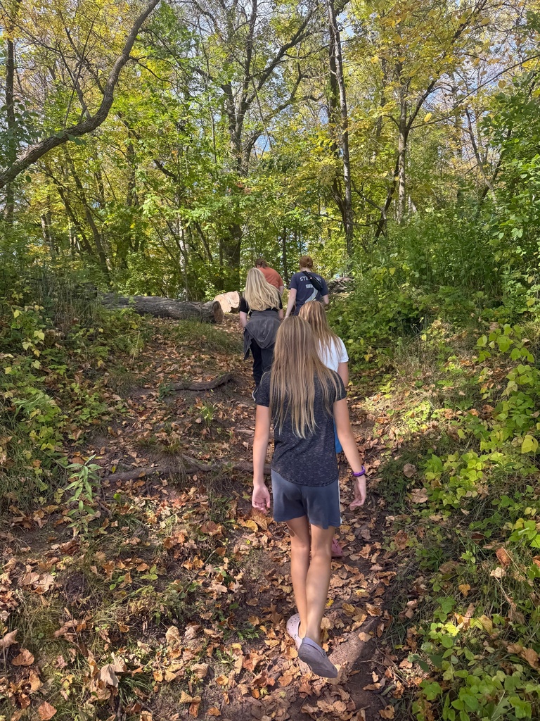students hiking in the woods