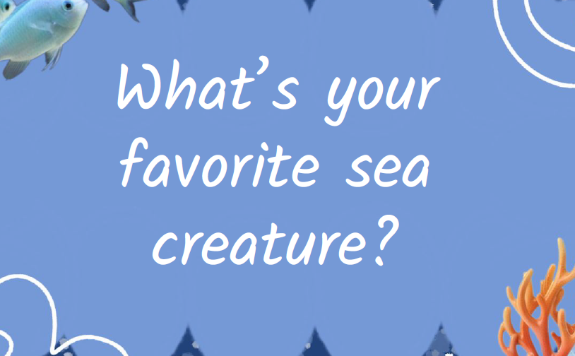 What's your favorite sea creature?