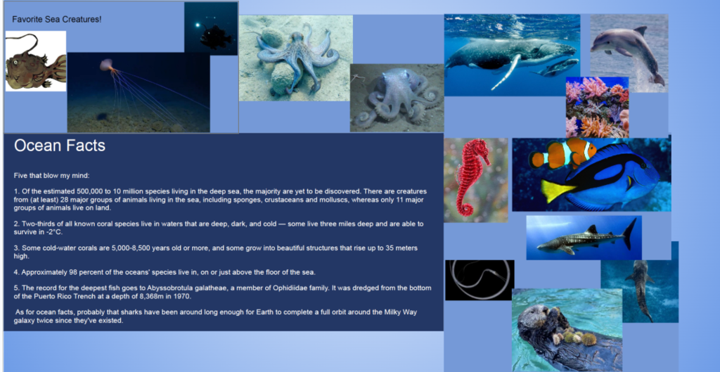 Ocean facts and favorite sea creatures