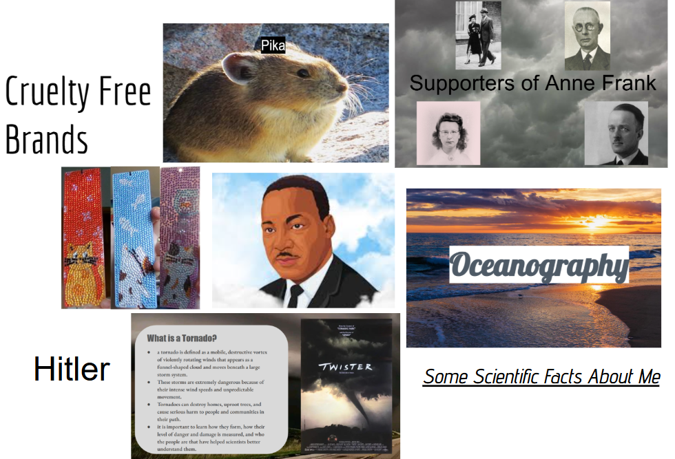 Photos of projects: Cruelty free brands, Hitler, Oceanography, Some scientific facts about me, tornados, supporter of anne frank, Martin Luther King Jr, Pika, art, 