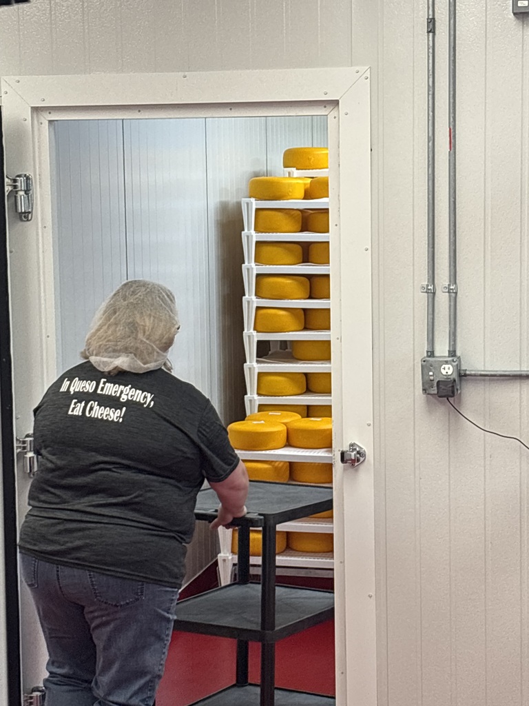 Person pushing a cart into a fridge 