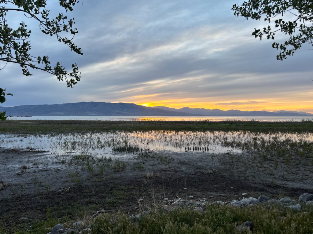 Lake Utah State Park Campsite
