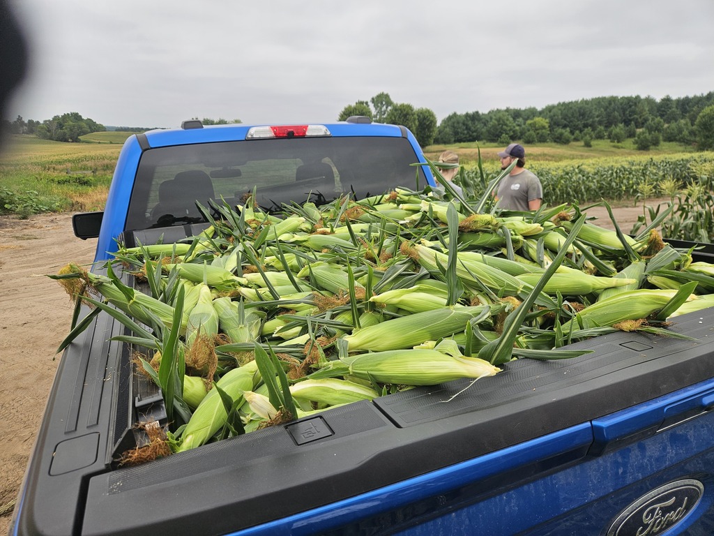 truck with corn in the back