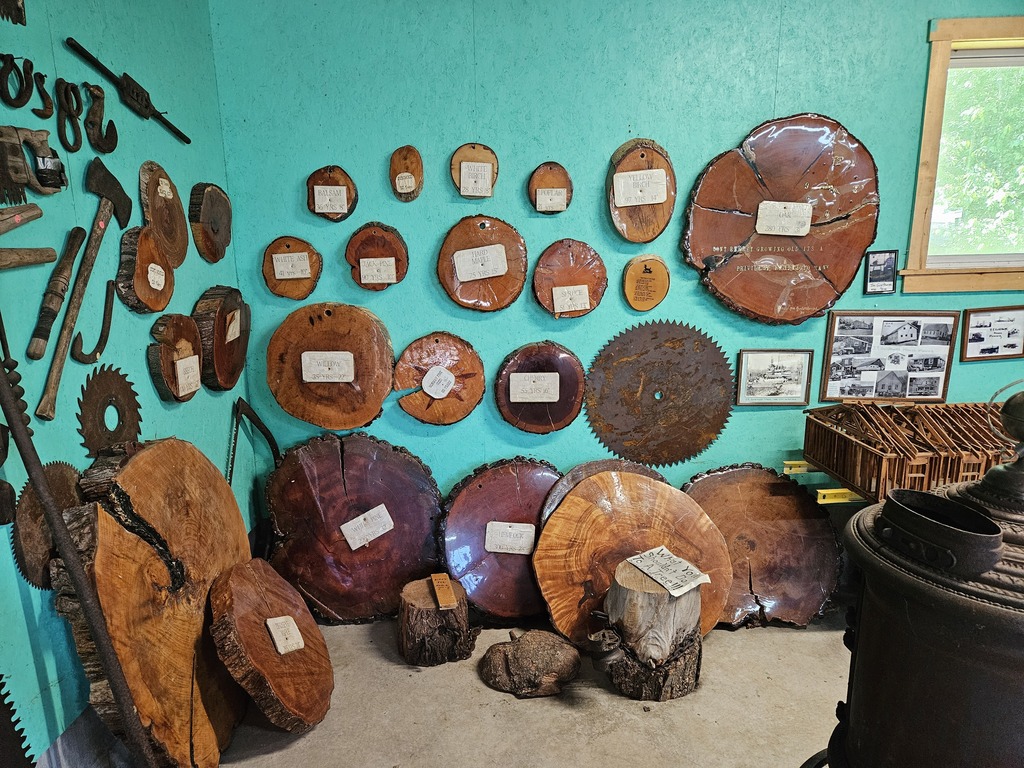 logs