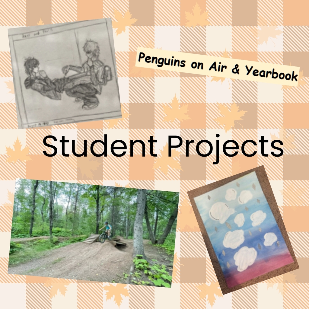 Student projects