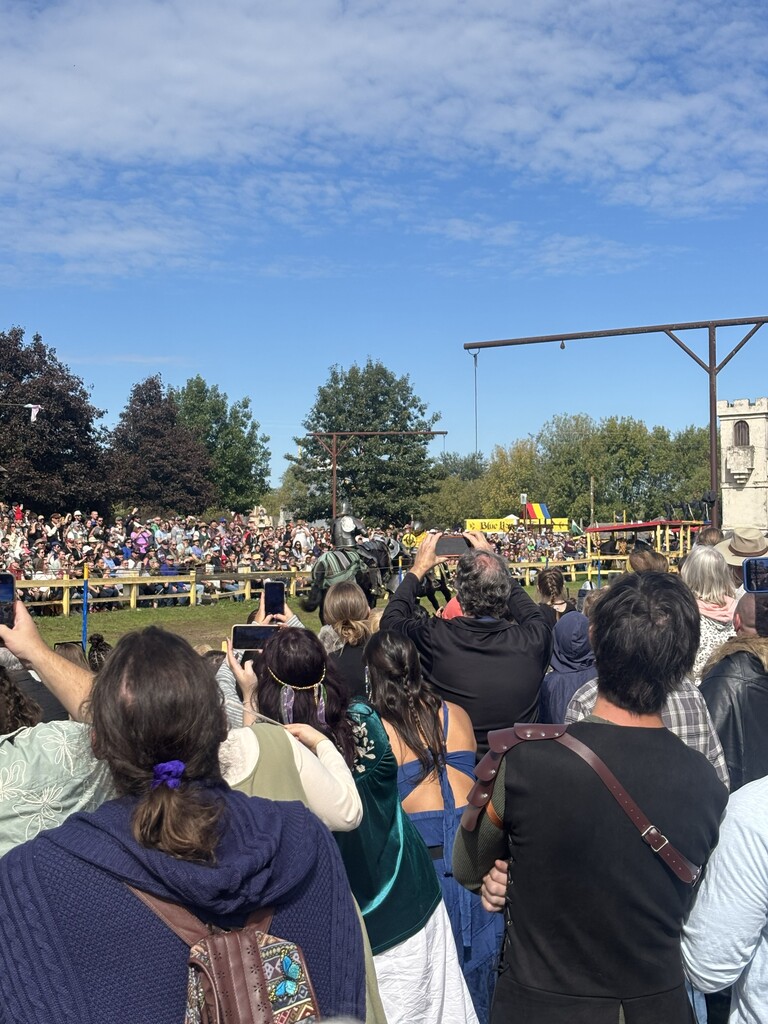 crowd watching jousting