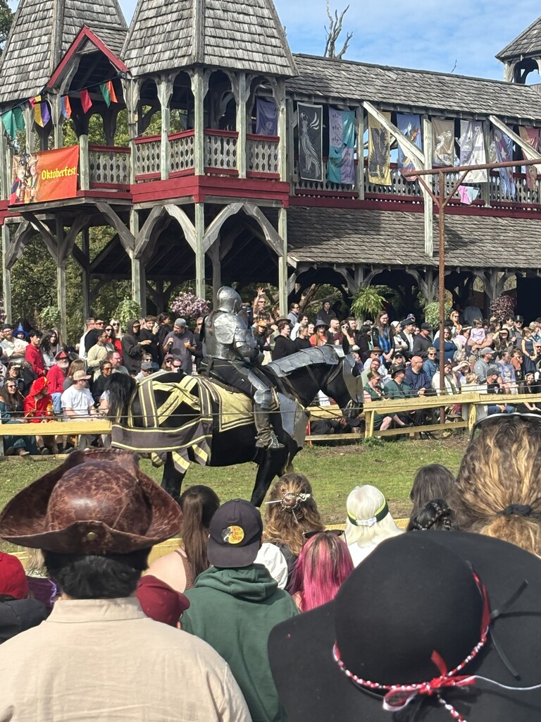 crowd watching jousting