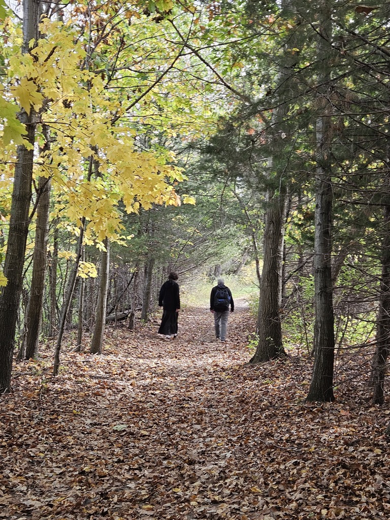 two people in nature walking