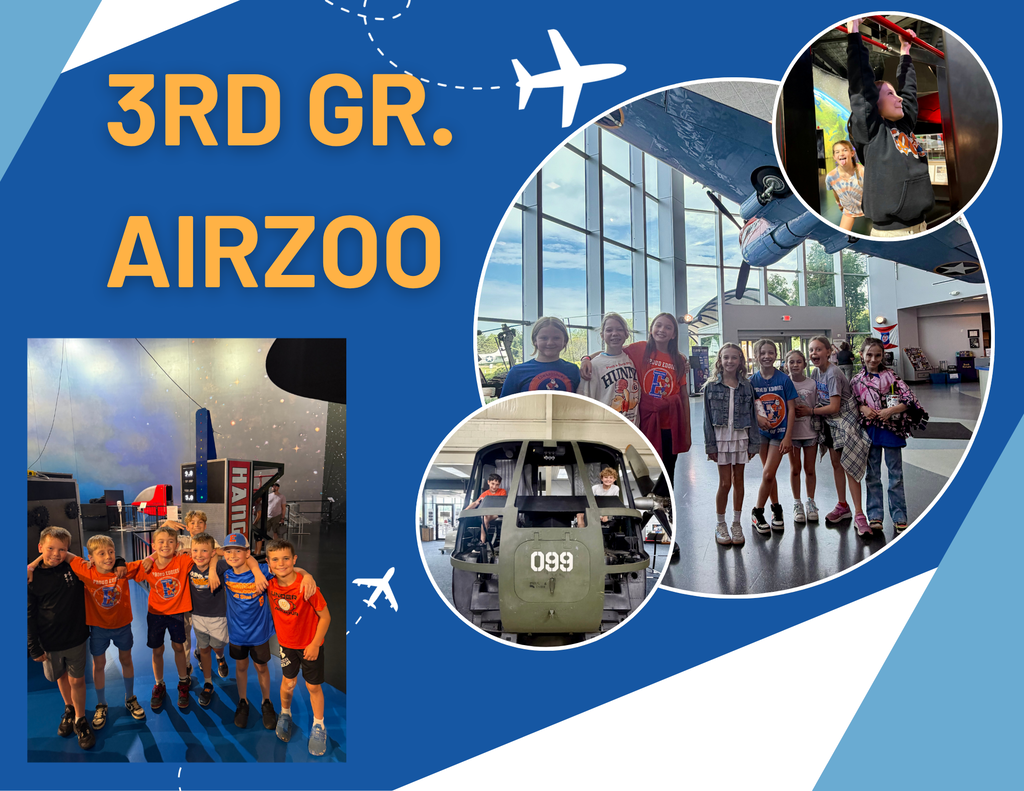 AirZoo