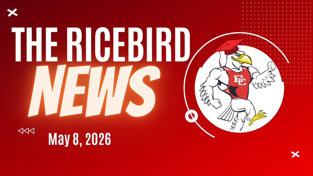 Ricebird News - May 8, 2026 logo