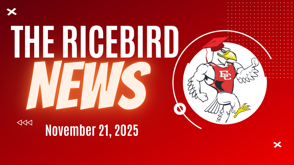 Ricebird News - November 21, 2025 LOGO