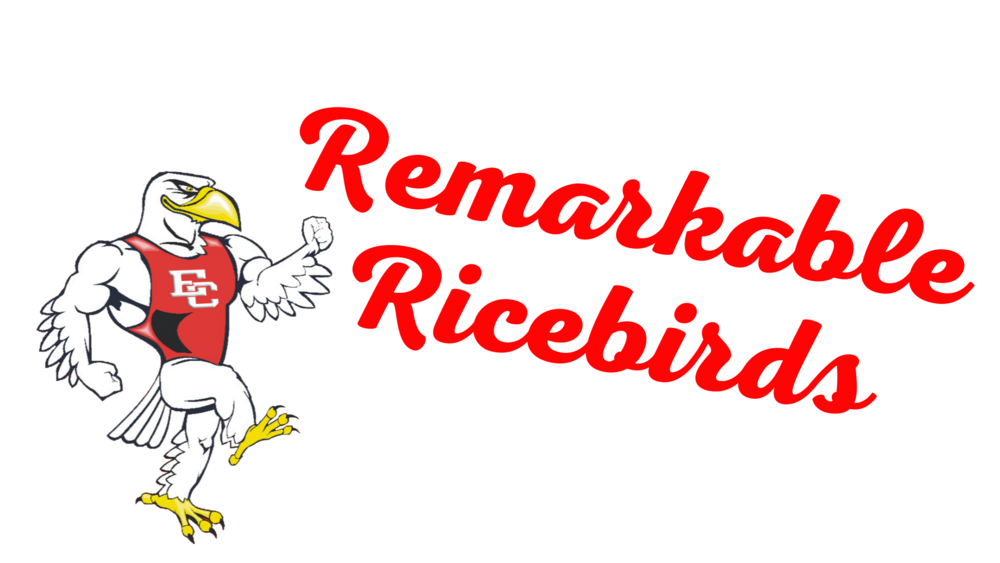 Remarkable Ricebirds logo