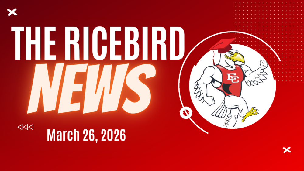 Ricebird News - March 26, 2026 logo