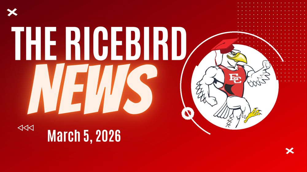 Ricebird News - March 5, 2026 logo