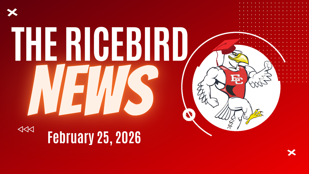 Ricebird News - February 25, 2026 logo
