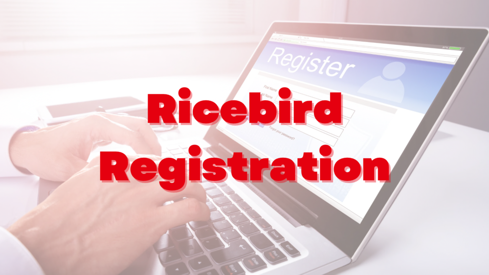 ricebird registration