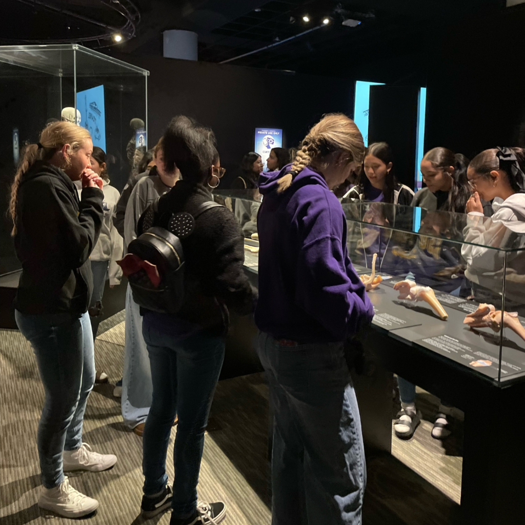 kids looking in a display case of body parts