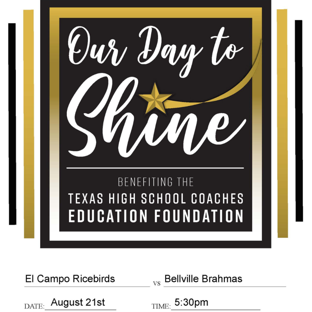 our day to shine logo