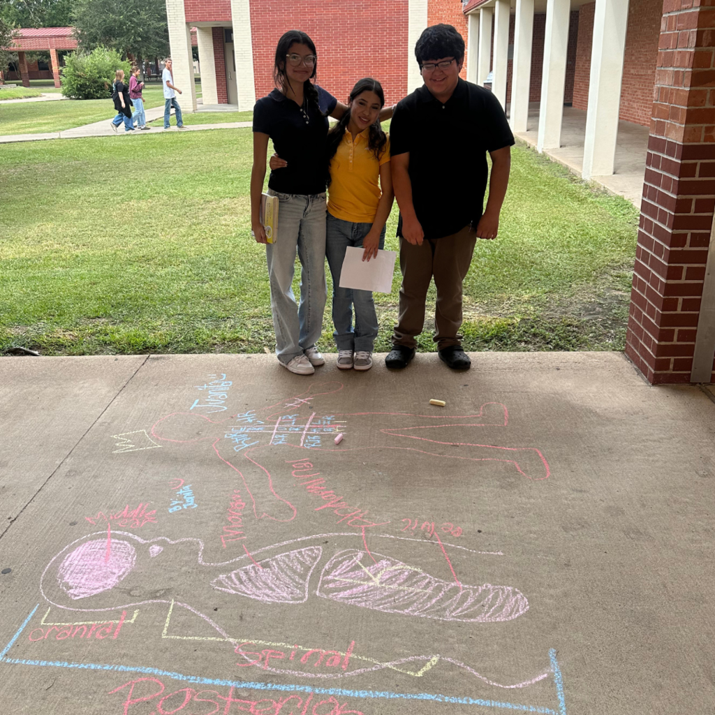 students learning terms with sidewalk chalk and lifesize drawings 