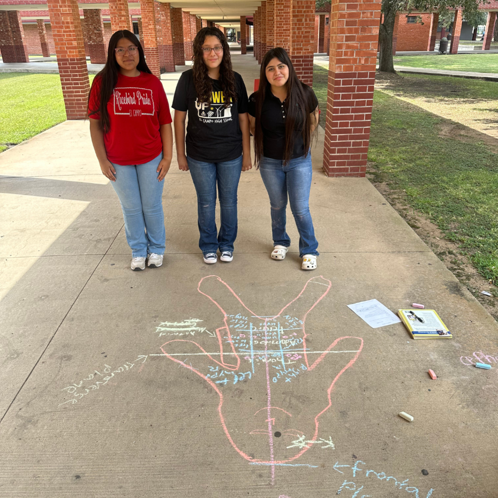 students learning terms with sidewalk chalk and life-size drawings 