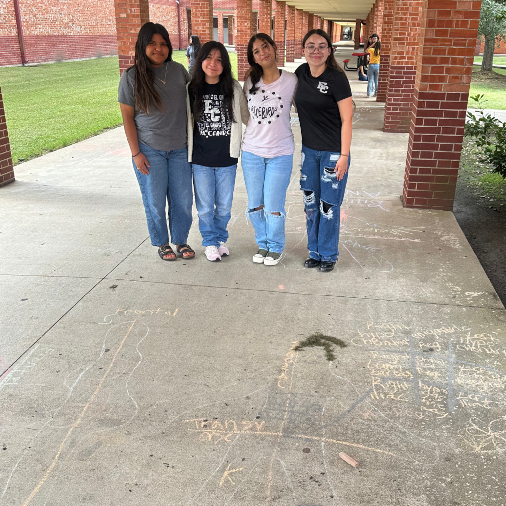 students learning terms with sidewalk chalk and lifesize drawings 