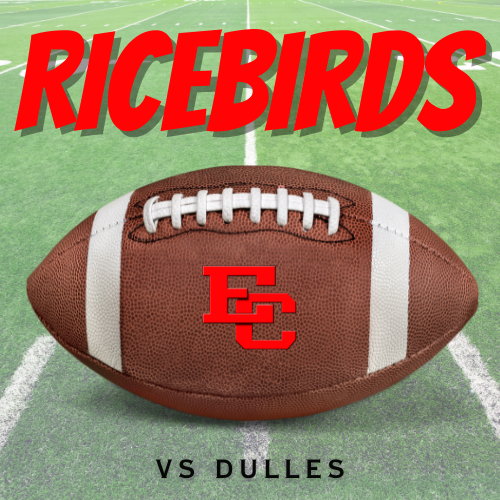 ricebirds vs dulles