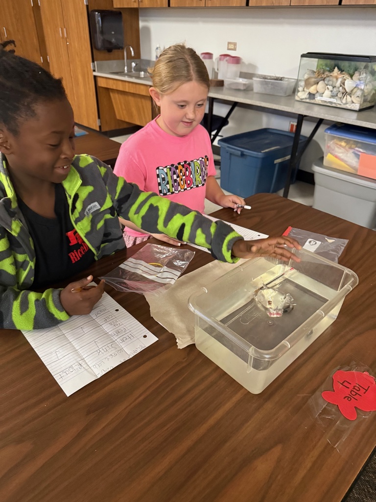 kids observing and taking notes about objects in container of water