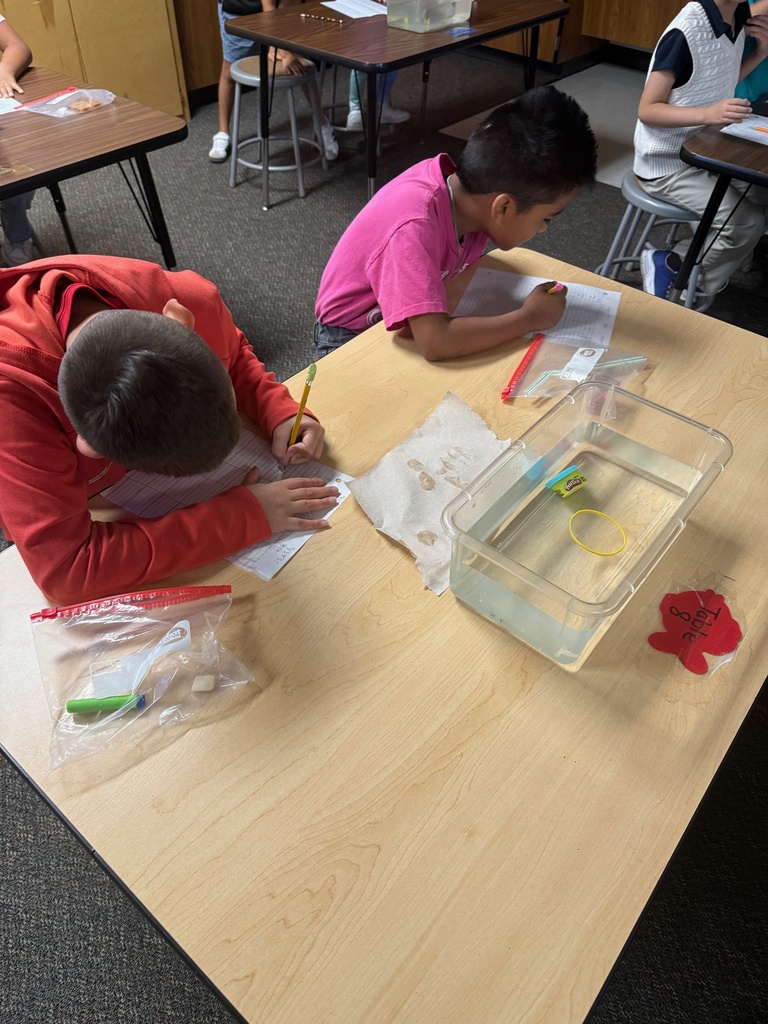 kids observing and taking notes about objects in container of water