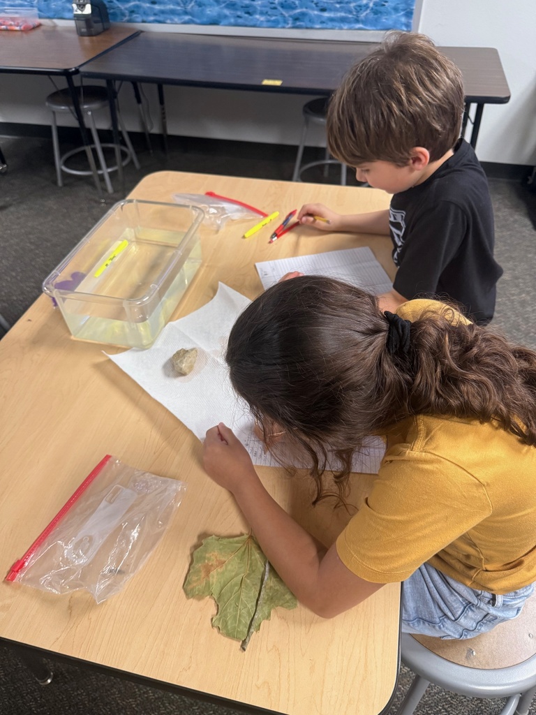 kids observing and taking notes about objects in container of water