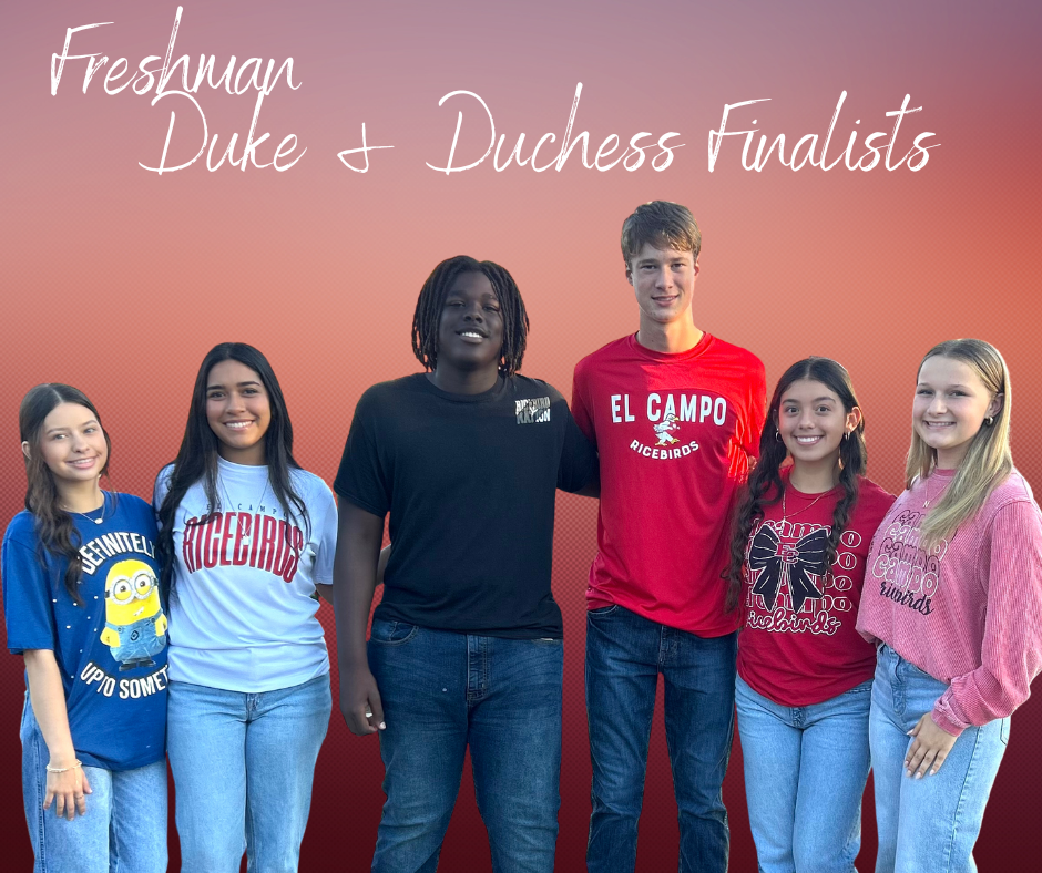 freshman finalists