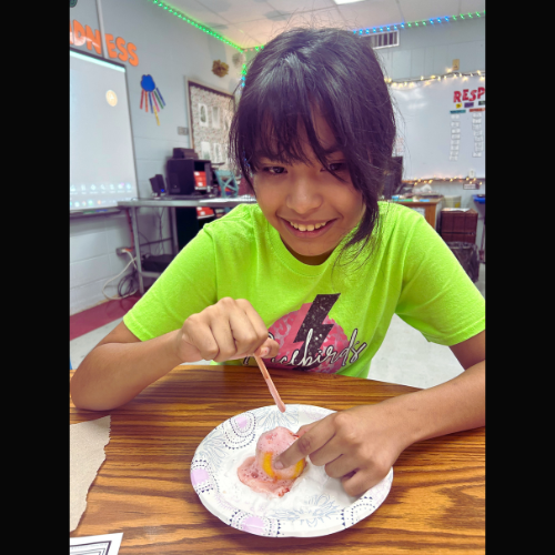 student with their volcano