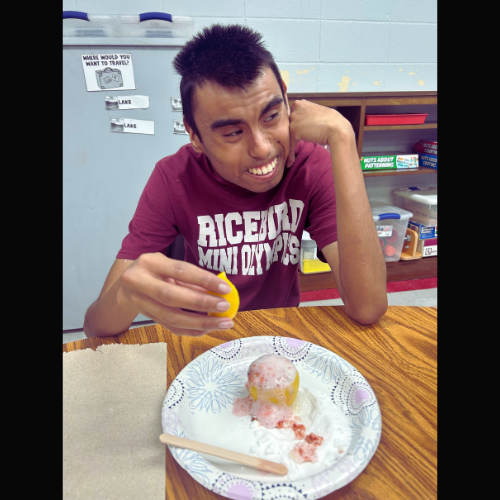 student with their volcano