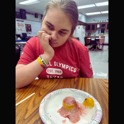 student with their volcano
