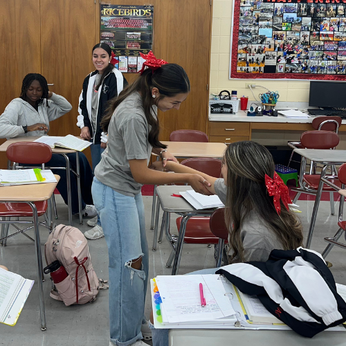 student working on range of motion with their student patient