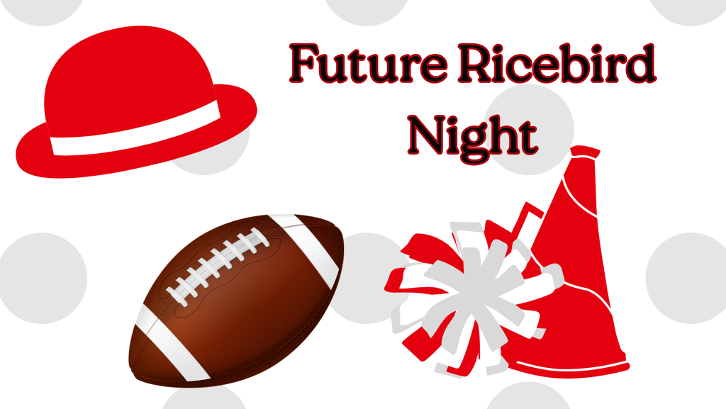 Future ricebird night