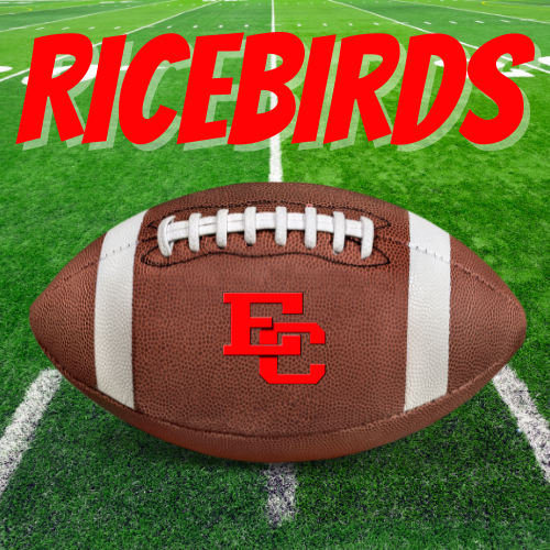 ricebirds over a football