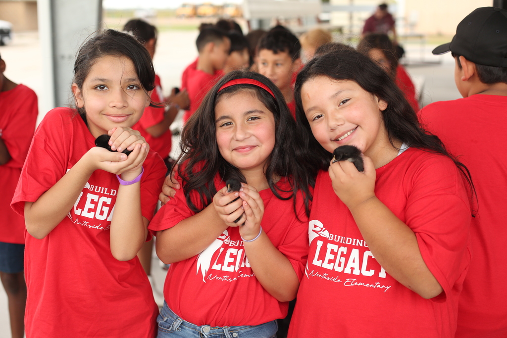 3 girls holding baby chicks
