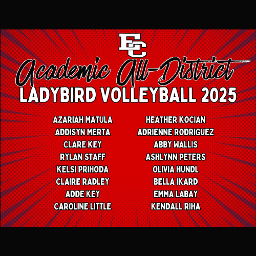 academic all district names