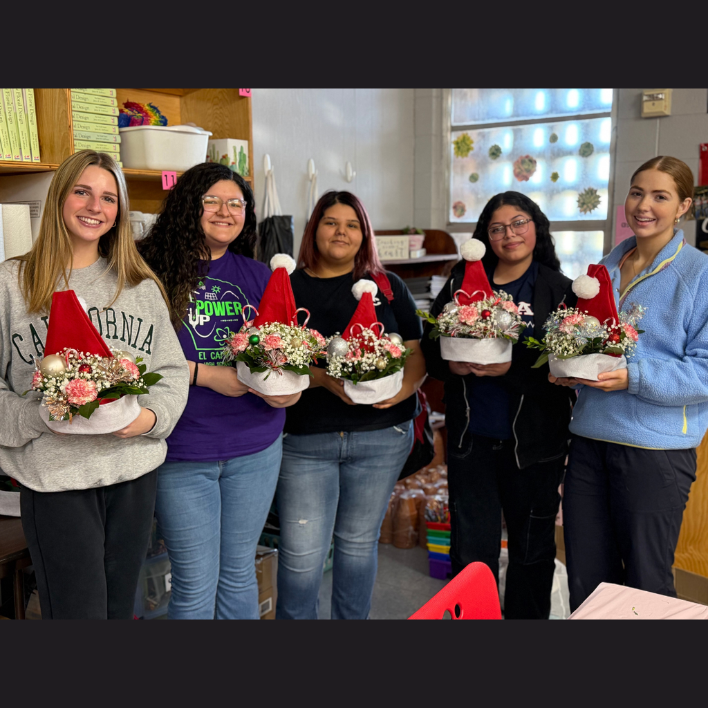 5 students showing their arrangements