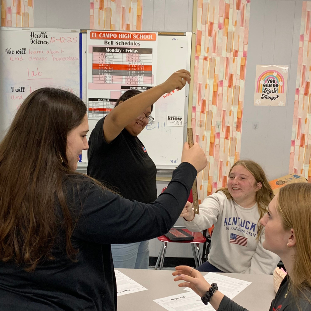 students participating in lab activity