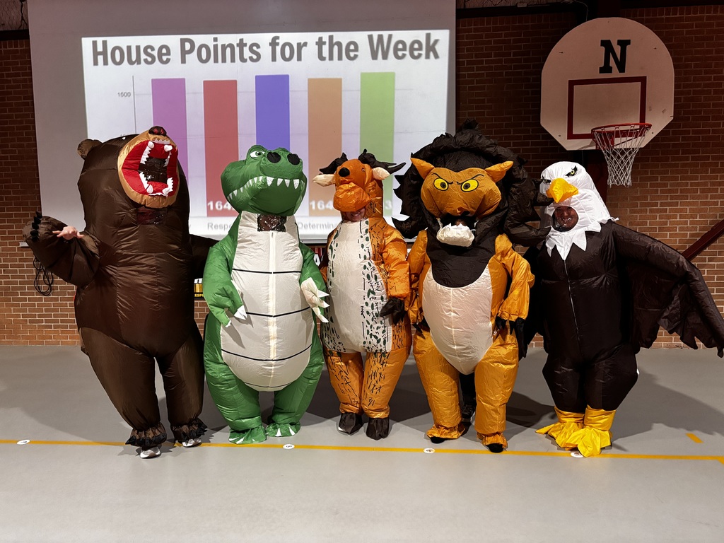 5 adults wearing costumes