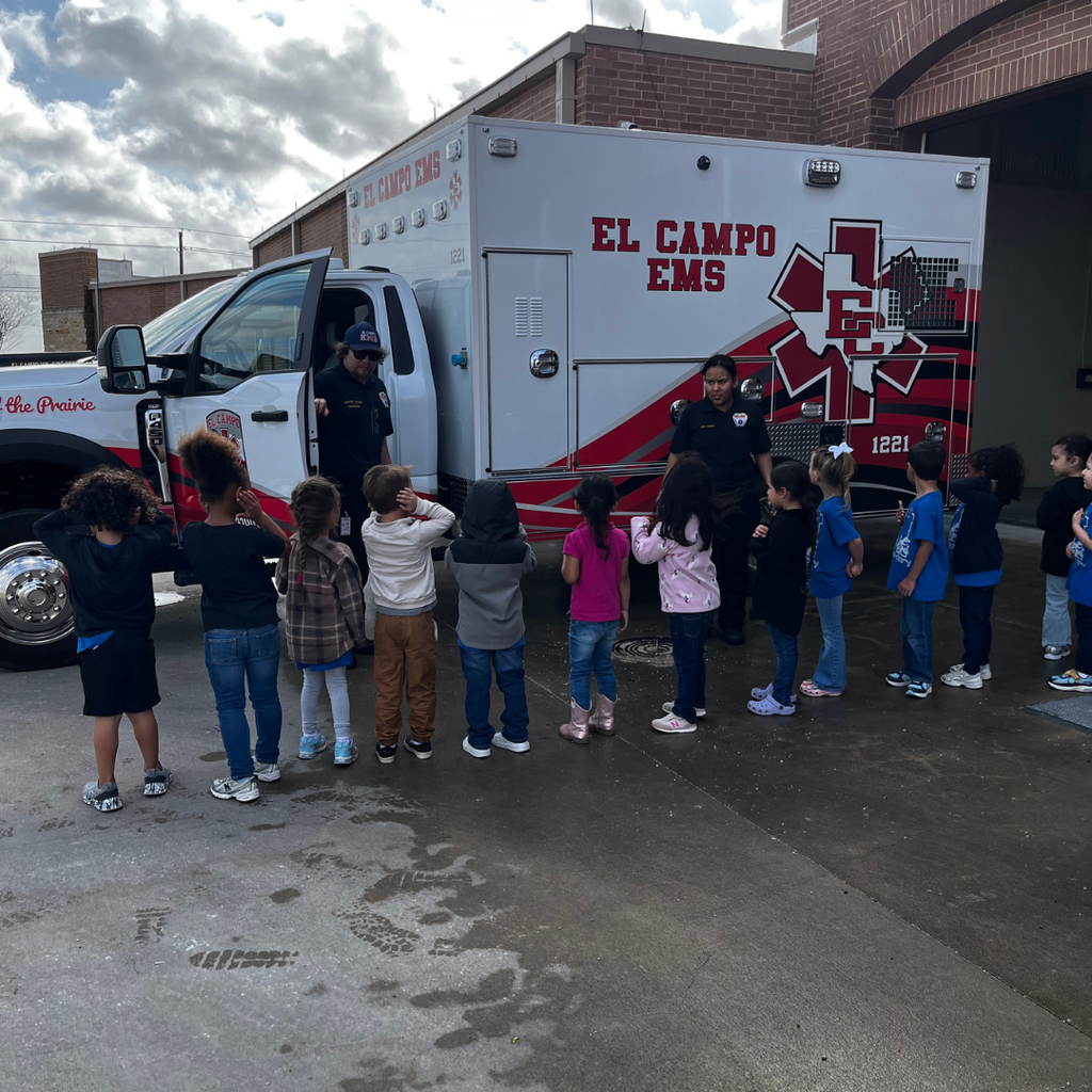 kids lined up looking at an ambulance