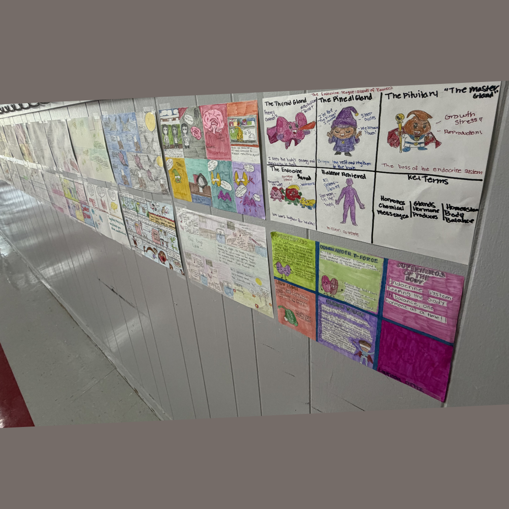 sevearl creative medical terminology projects on the wall showing a multi-panel comic where different body glands are reimagined as superheroes fighting villains to regulate the body.
