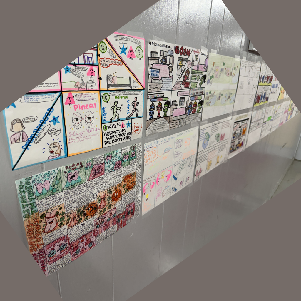 sevearl creative medical terminology projects on the wall showing a multi-panel comic where different body glands are reimagined as superheroes fighting villains to regulate the body.