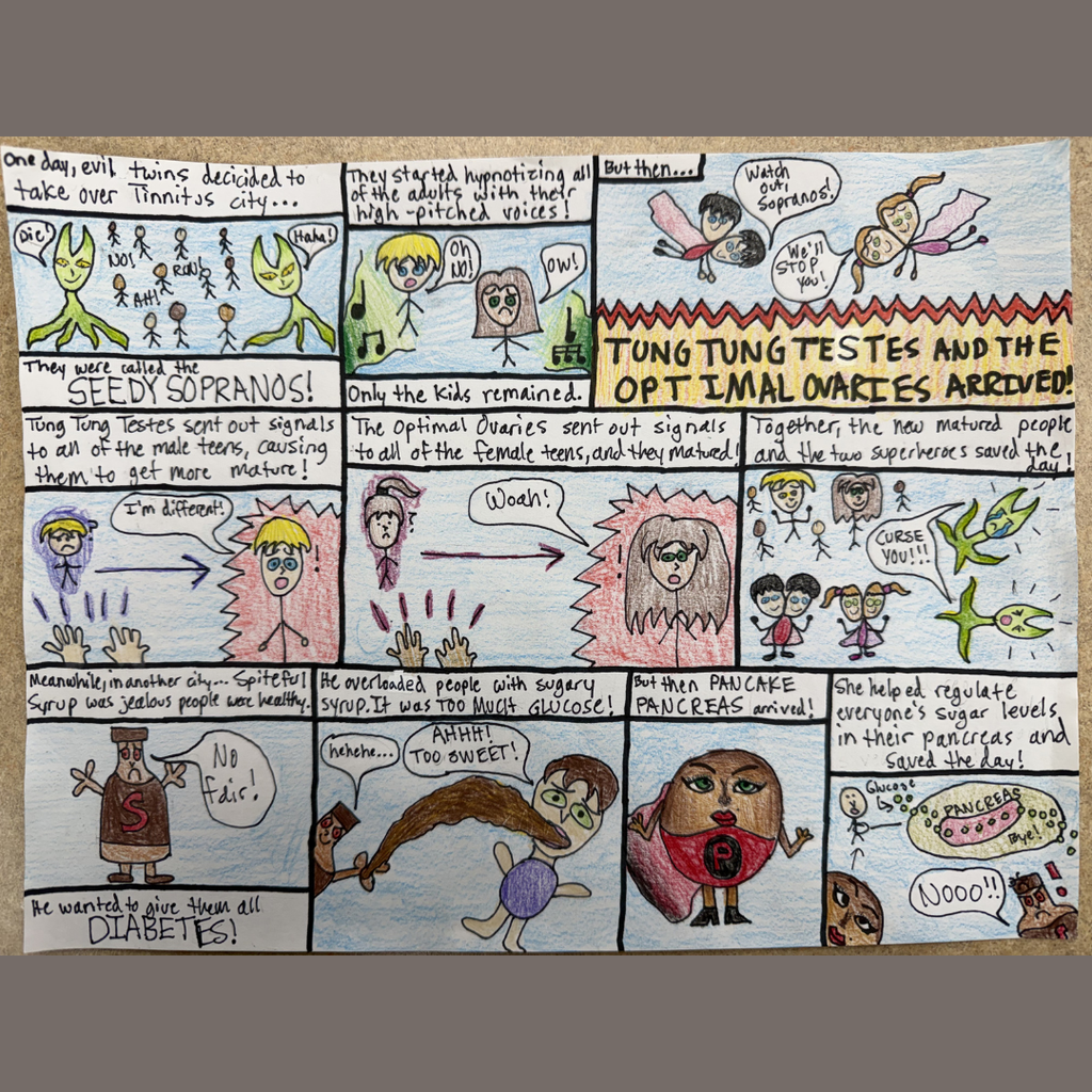 A student-created comic strip about medical glands. The panels tell a story about "The Seedy Sopranos" invading "Tinnitus City," featuring superhero characters named "Tung Tung Testes," "Optimal Ovaries," and "Pancake Pancreas" who save the day.